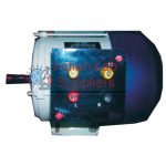 750 W / 1.0 HP Sq. cage Induction Motor with all terminals brought out. Frame : 100